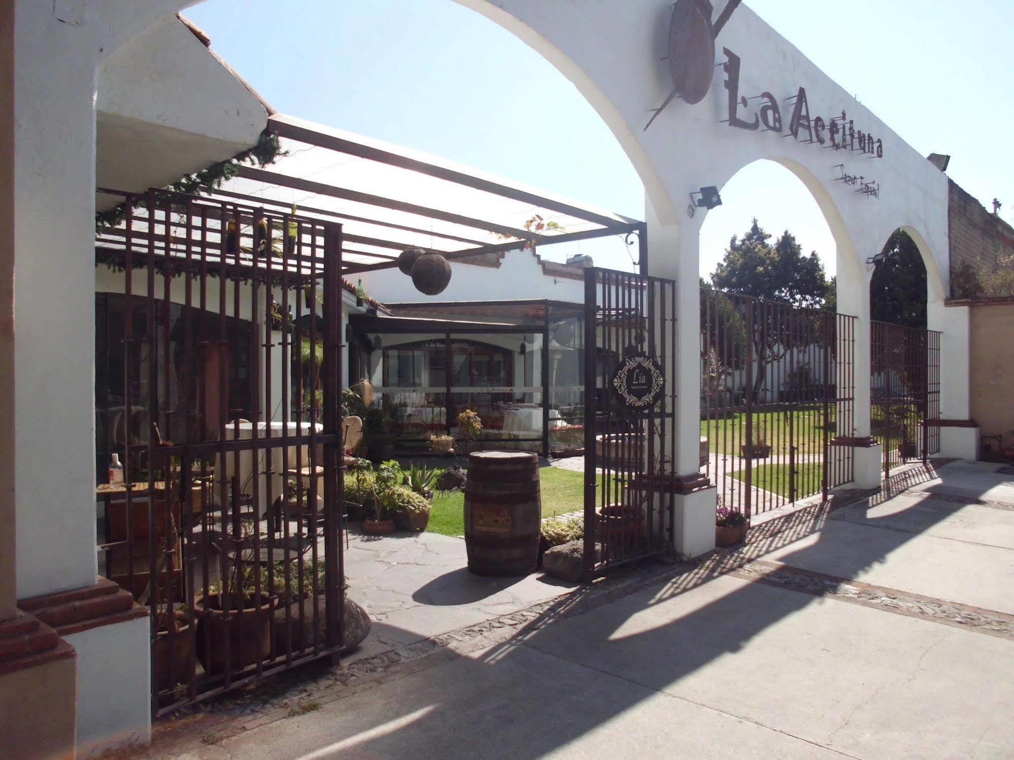 Hotel La Posada Apizaco Exterior foto